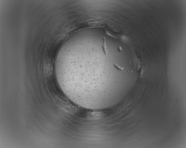 X0000076310324200610201619