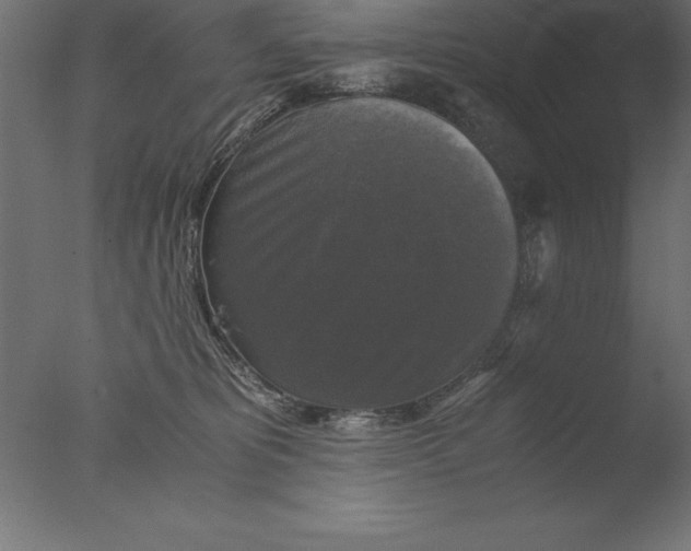 X0000076310325200610201619