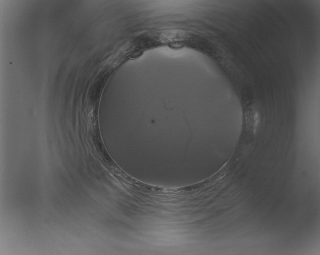 X0000076310327200610201619