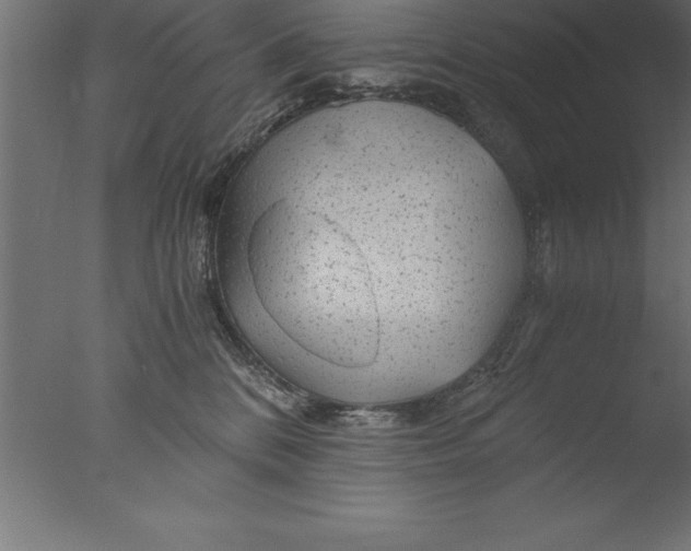 X0000076310328200610201619