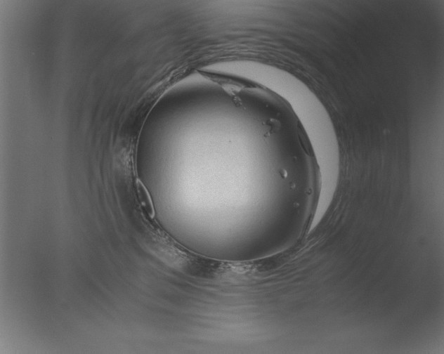 X0000076310329200610201619