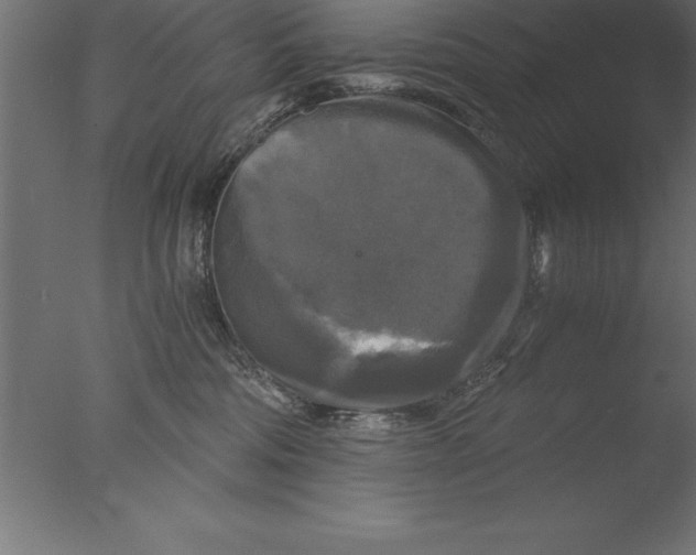 X0000076310330200610201619