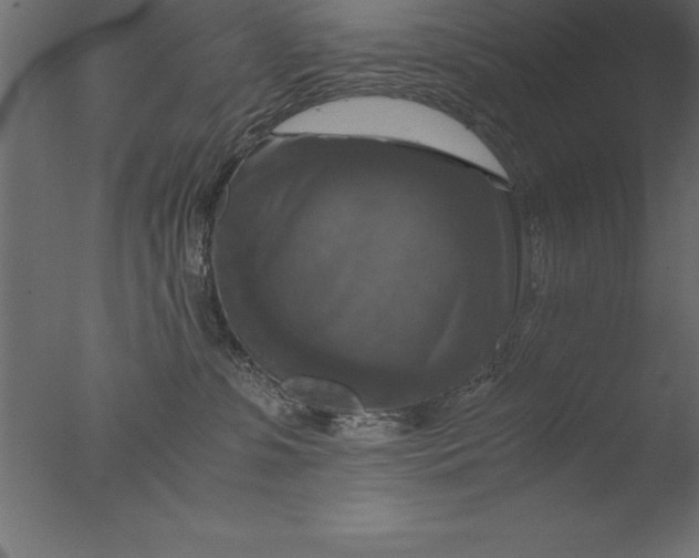 X0000076310331200610201619