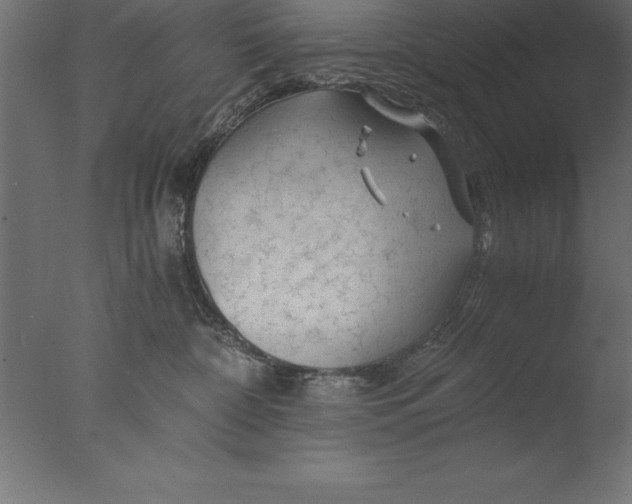 X0000076310332200610201619