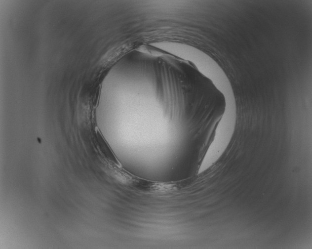 X0000076310333200610201619