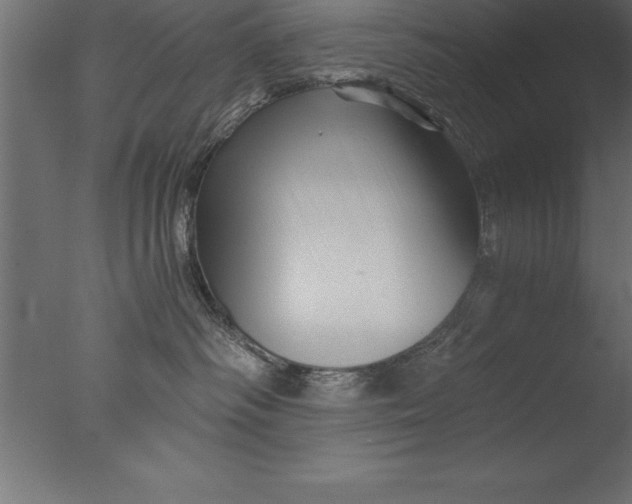 X0000076310334200610201619