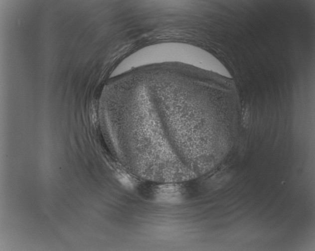 X0000076310335200610201619