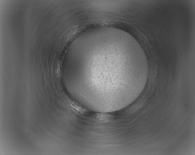 X0000076310336200610201619