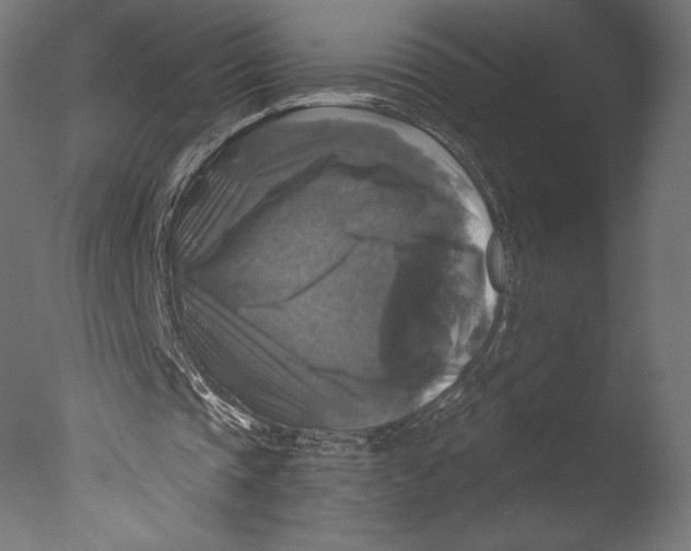 X0000076310337200610201618