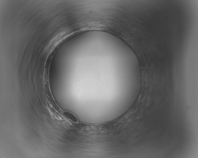 X0000076310338200610201618