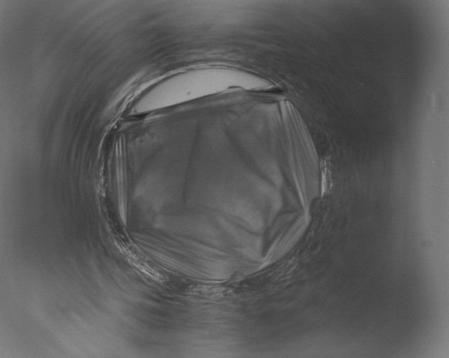 X0000076310339200610201618