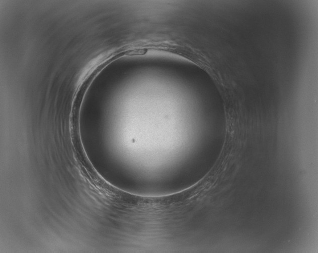 X0000076310340200610201618