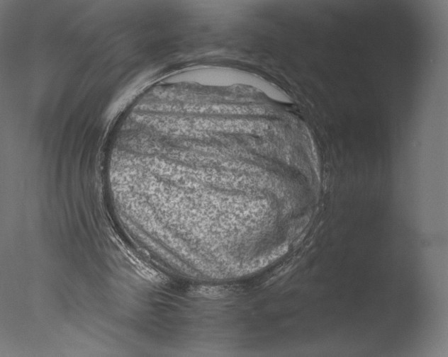 X0000076310341200610201618