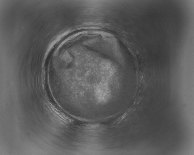 X0000076310342200610201618