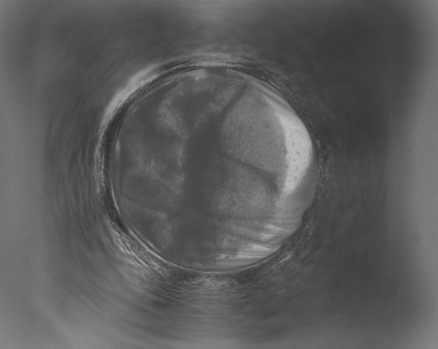 X0000076310343200610201618