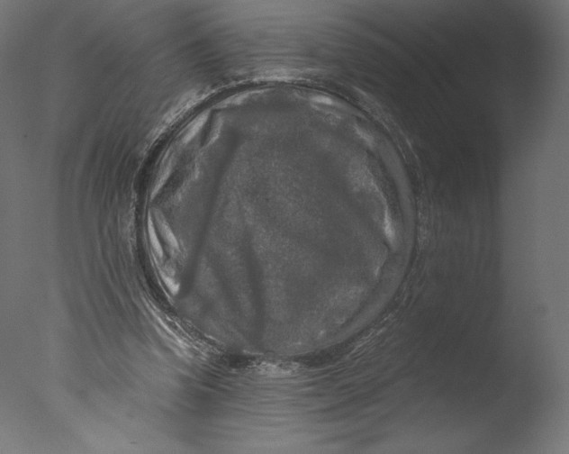 X0000076310346200610201618