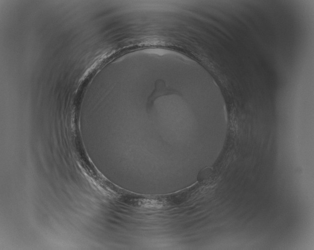 X0000076310347200610201618