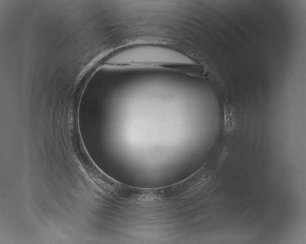 X0000076310348200610201618