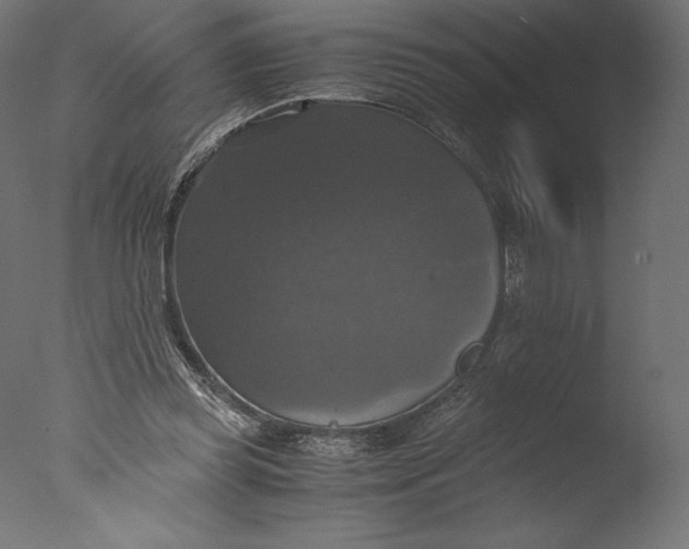 X0000076310349200610201618