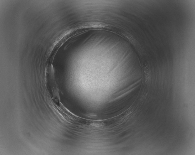 X0000076310350200610201618