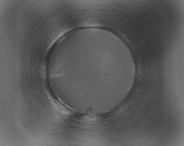 X0000076310351200610201618