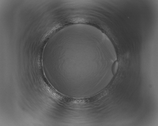 X0000076310353200610201618