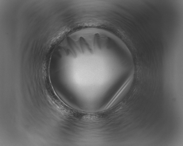 X0000076310354200610201618