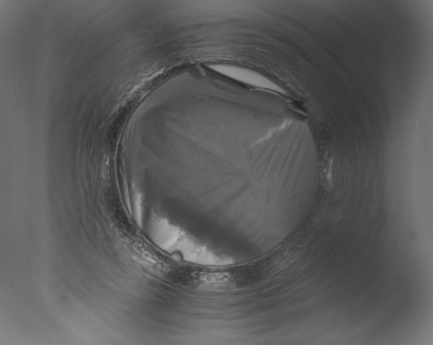 X0000076310355200610201618