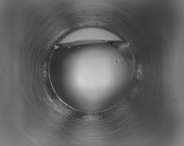 X0000076310356200610201618