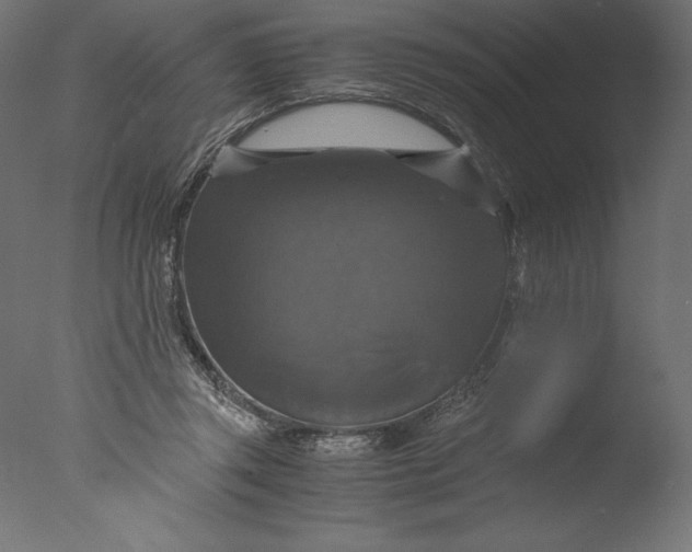 X0000076310357200610201618