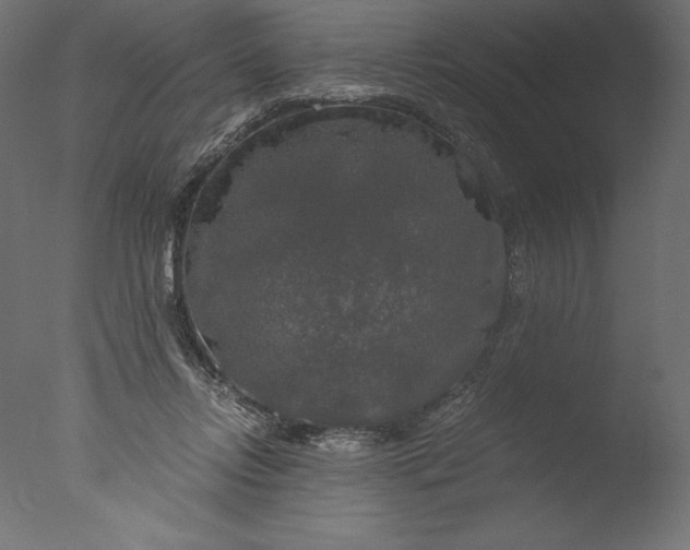 X0000076310358200610201618