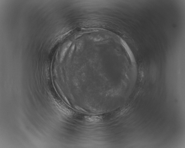 X0000076310359200610201618