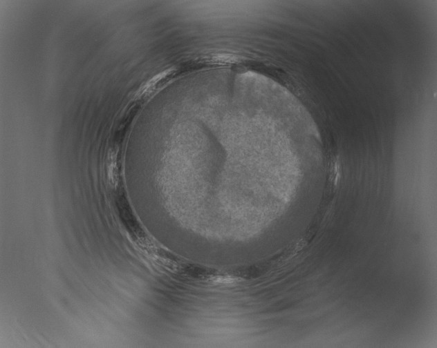 X0000076310360200610201619