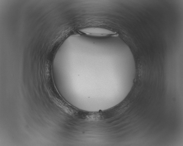 X0000076310362200610201619