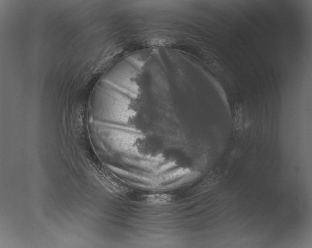 X0000076310363200610201619