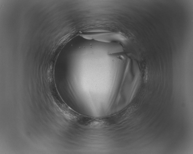 X0000076310364200610201619