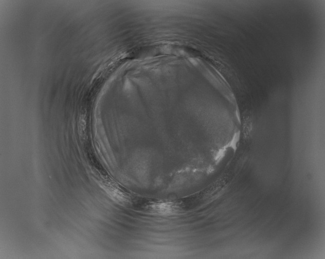 X0000076310365200610201619