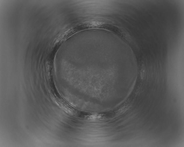 X0000076310366200610201619