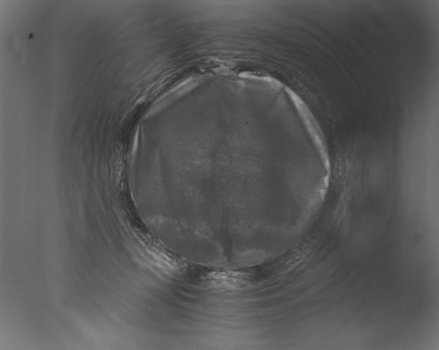 X0000076310367200610201619