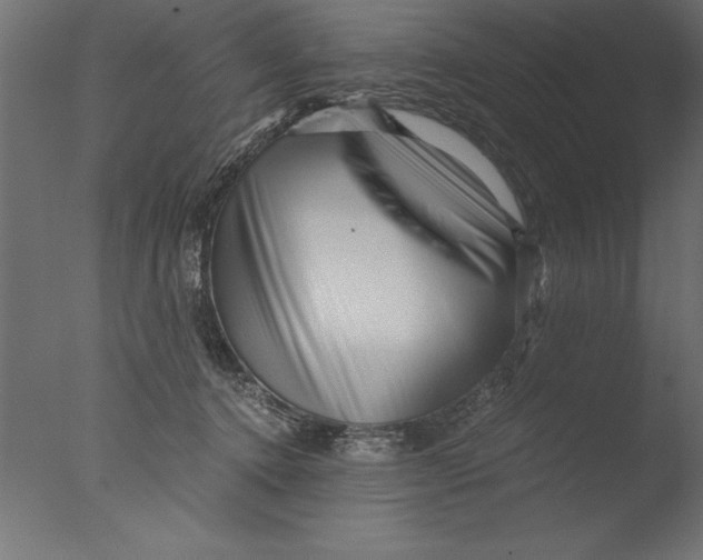 X0000076310368200610201619