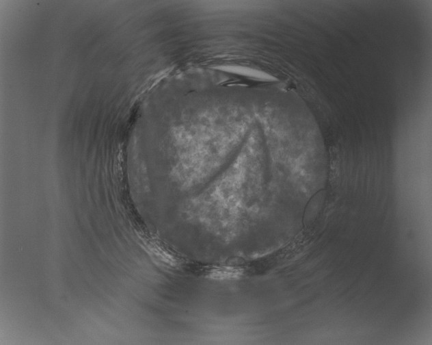 X0000076310369200610201619