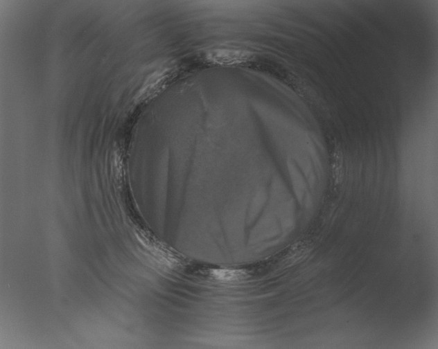 X0000076310371200610201619