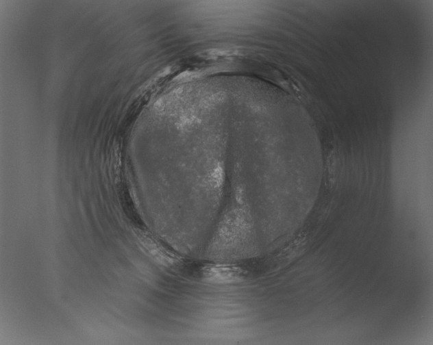 X0000076310372200610201619