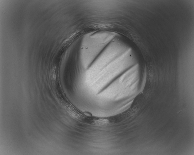 X0000076310374200610201619