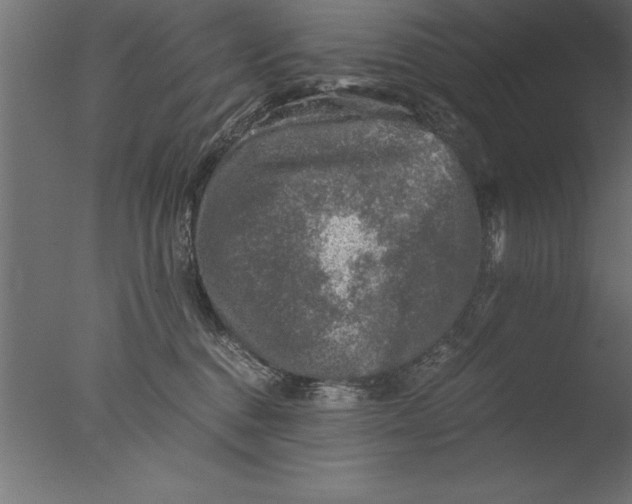 X0000076310376200610201619