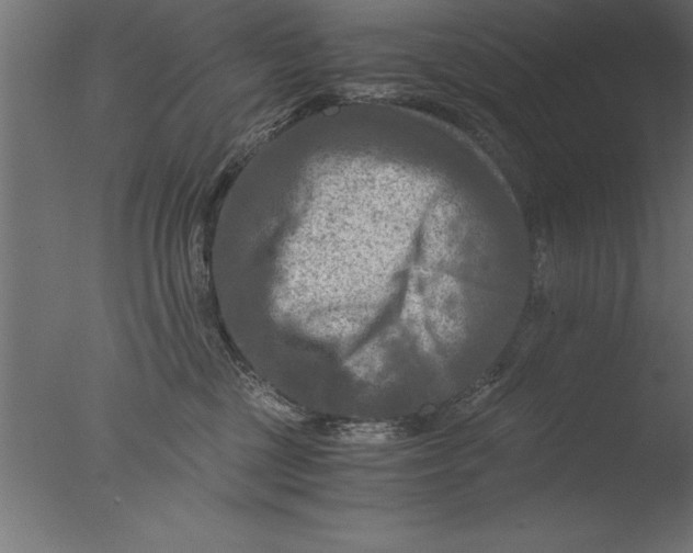 X0000076310377200610201619