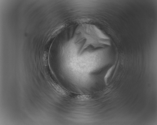 X0000076310378200610201619