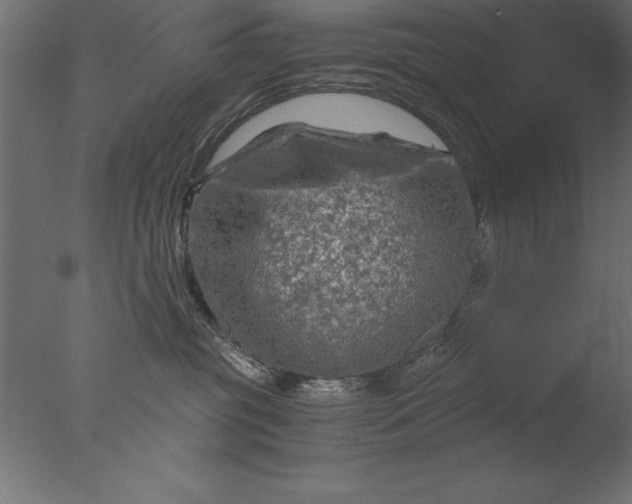 X0000076310381200610201619