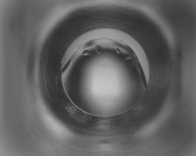 X0000076310382200610201619