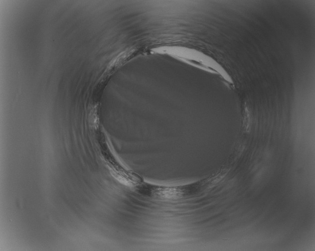 X0000076310383200610201619